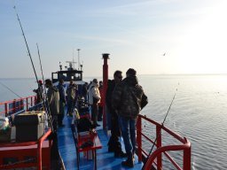 Competities HSV Alfheim